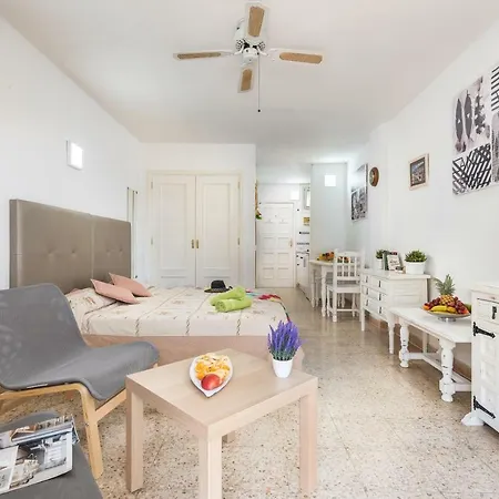 530.big Studio With Terrace,playa De Las Americas *